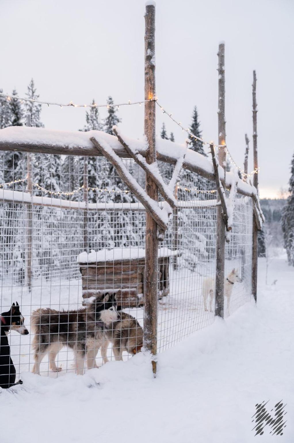 Nova Galaxy Village Rovaniemi Exteriér fotografie