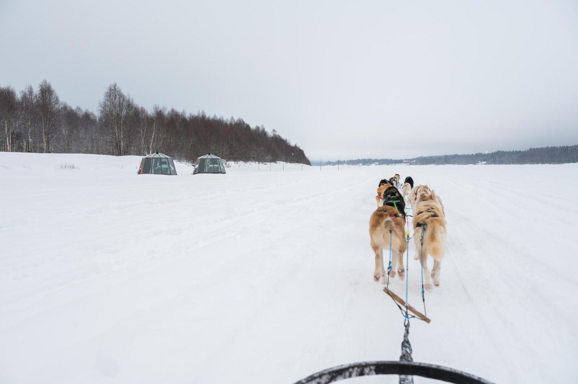 Nova Galaxy Village Rovaniemi Exteriér fotografie